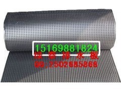 隧道排水板的作用及其在南京防水工程中的重要性